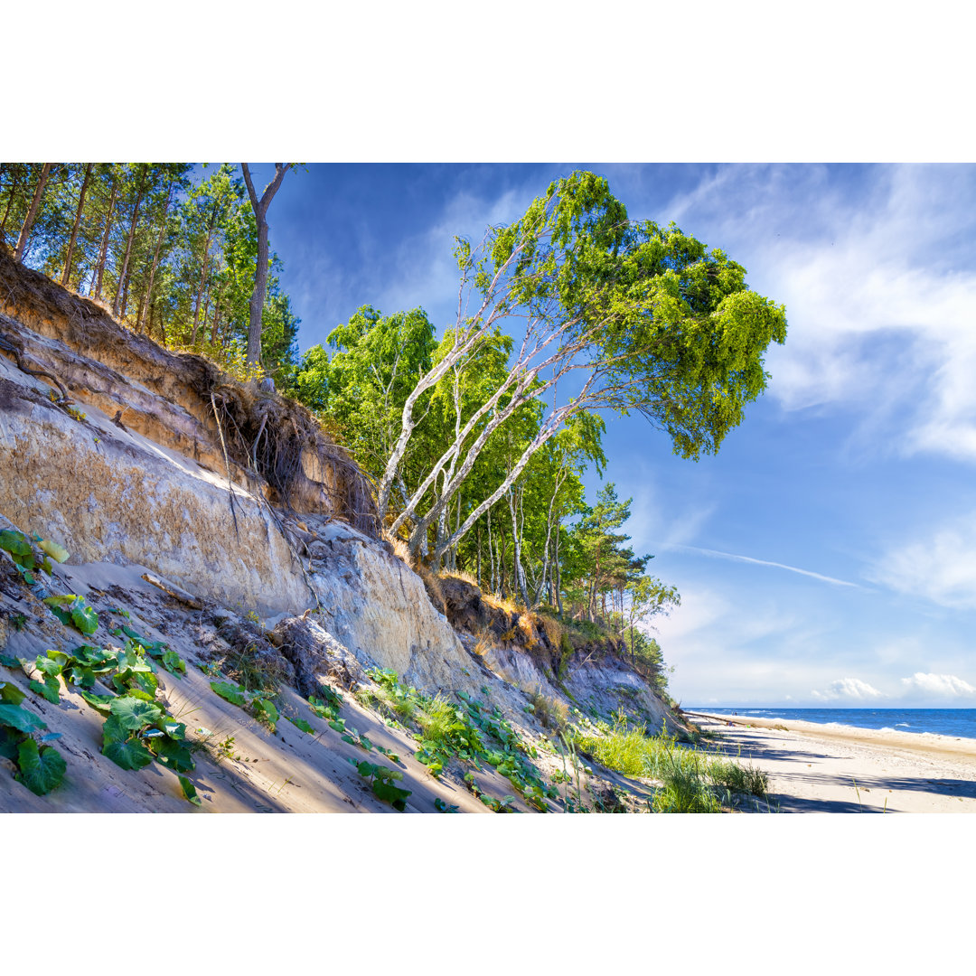 View Of The Cliffs von Ewg3D - Kunstdrucke auf Leinwand