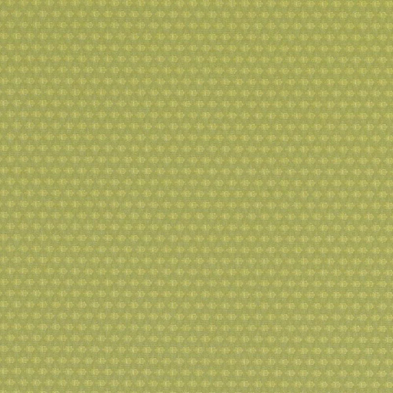 Crypton Woven Jacquards IX Fabric, Wasabi
