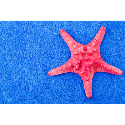 Starfish On Towel - Wrapped Canvas Print