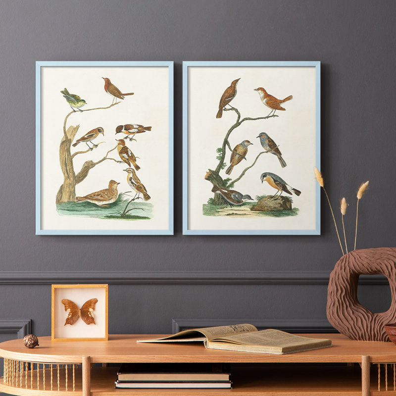 Oiseaux antiques dans la nature III - reproduction encadrée de qualité supérieure - prête à être accrochée - aucun clou requis - aucun clou requis