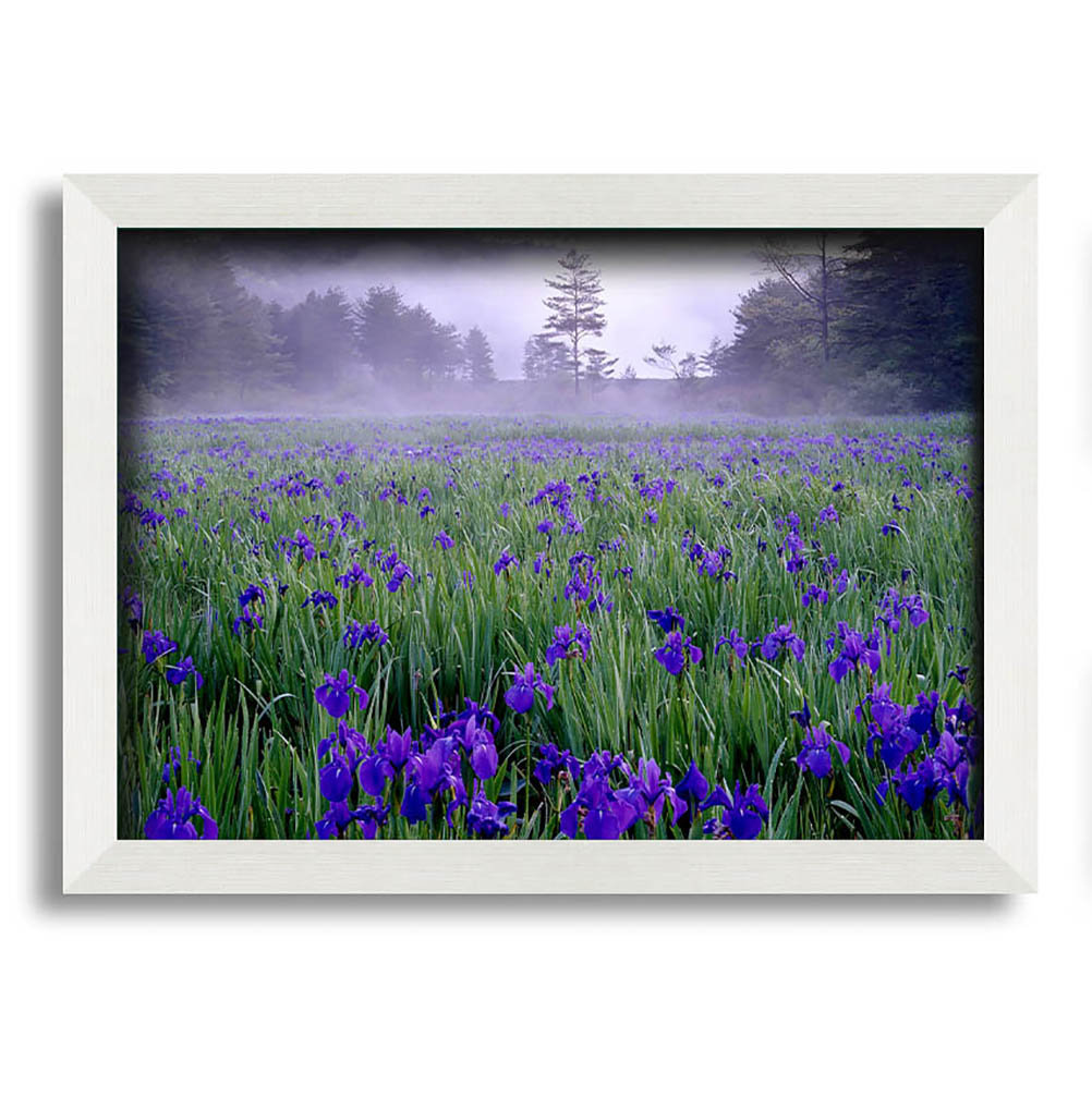 Bluebell Mist Gerahmter Druck Wandkunst