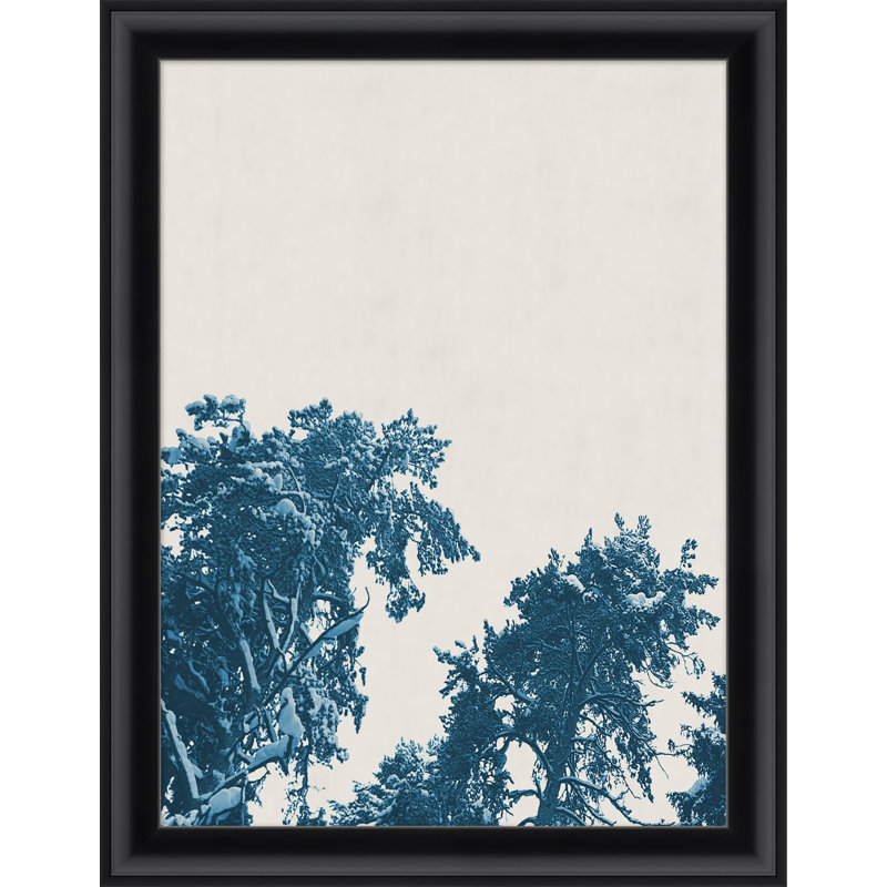 "Blue Trees 1" par Thom Filicia - photographie encadrée sur papier