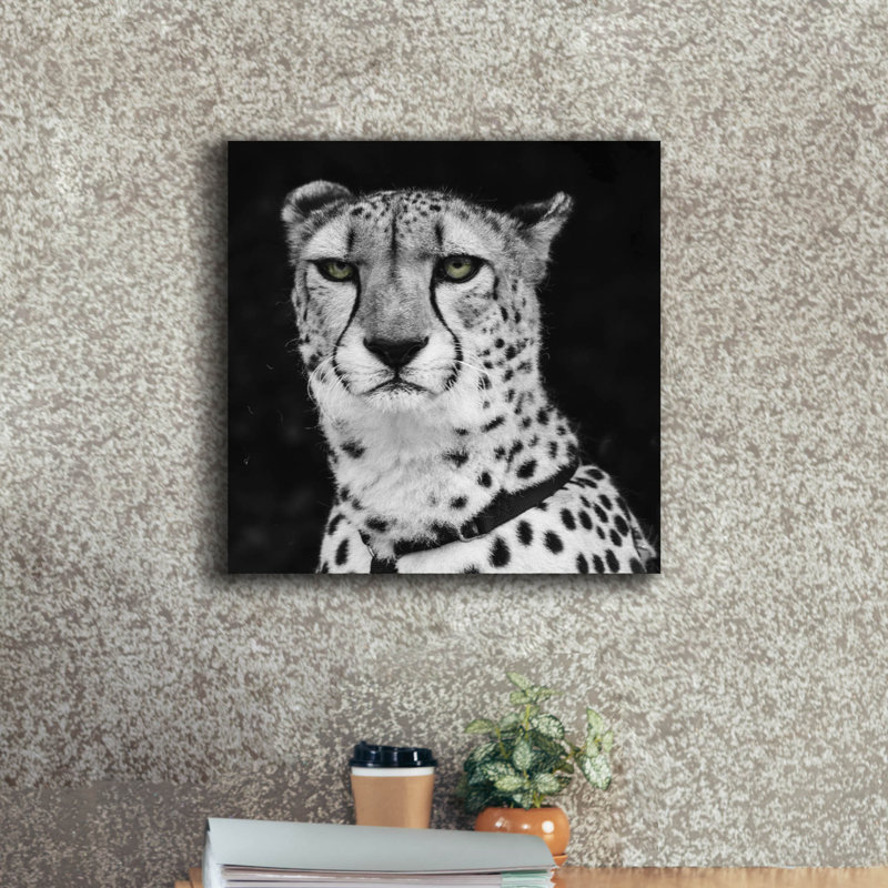  «Cheetah» par Decent Exposures, art mural sur toile, 12 po x 12 po, H 18 po x l 18 po x P 0,75 po