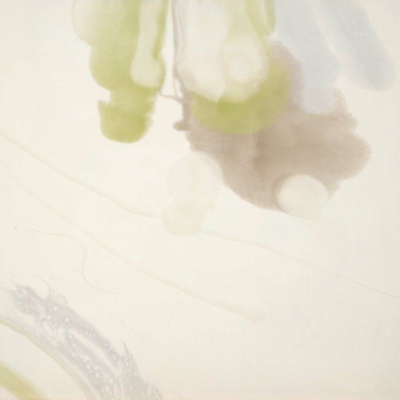 Lime Light 1 Print by Studio L57 Contempo, 13.75" H x 13.75" W