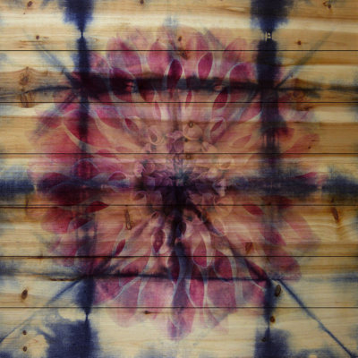 « pivoine background » par parvez taj,, reproduction d’art sur bois de pin naturel