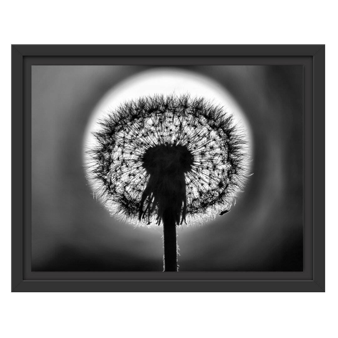 Gerahmtes Wandbild Pusteblume