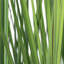 Plantes artificielles en pot 3,25 pi