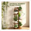 Plant Stand