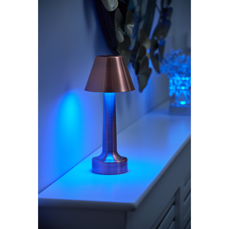 Weranna Metal USB Table Lamp, Brown