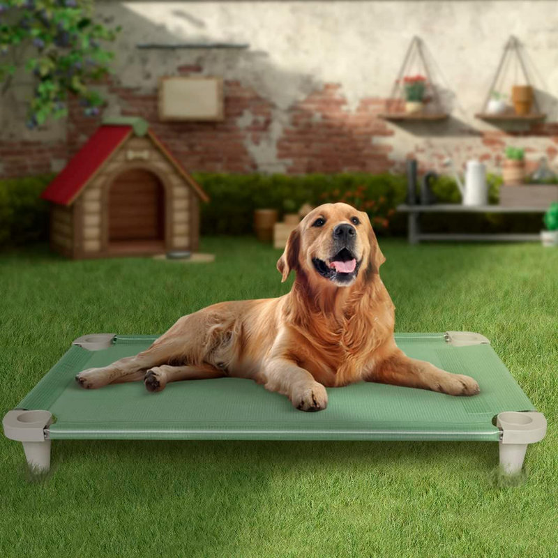 Pet Bed