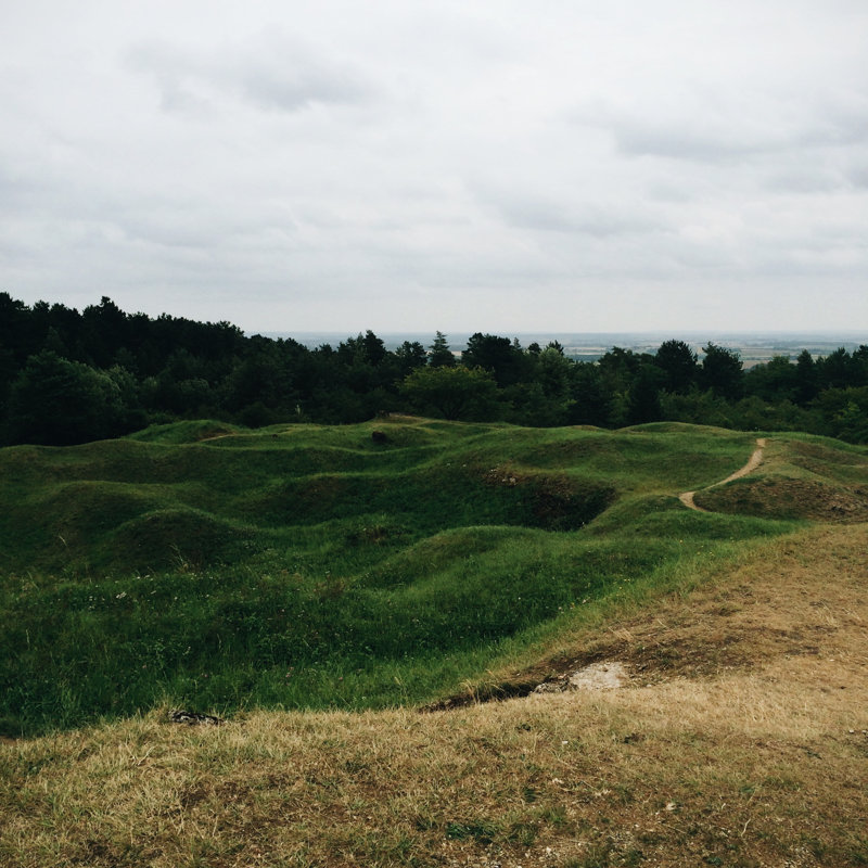 Grassy Meadow par Alvarez, H 20 po x l 20 po