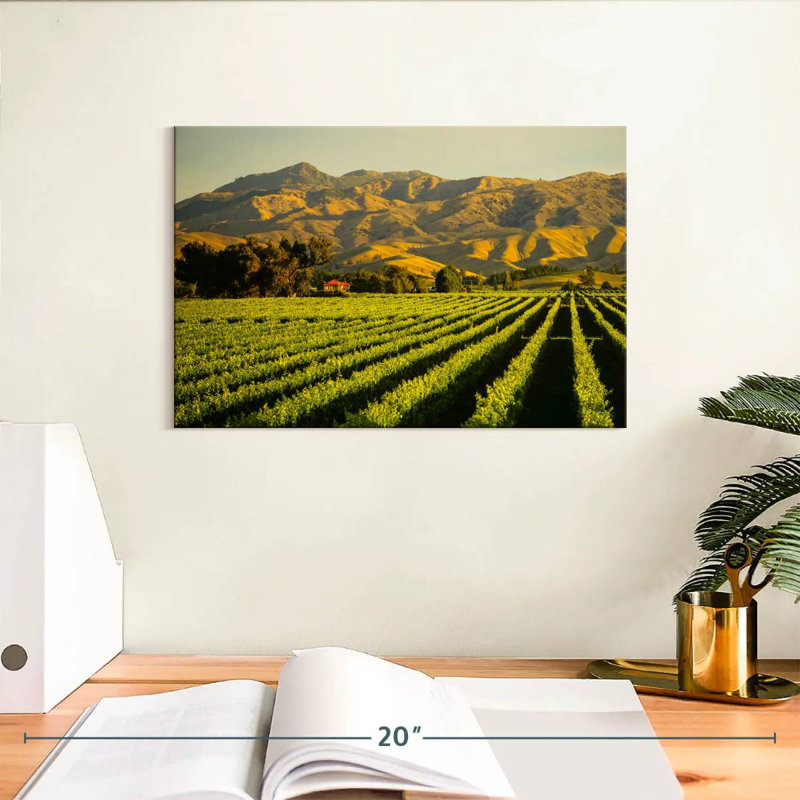 Alvord Blenheim Vineyard, H 8 po x l 12 po
