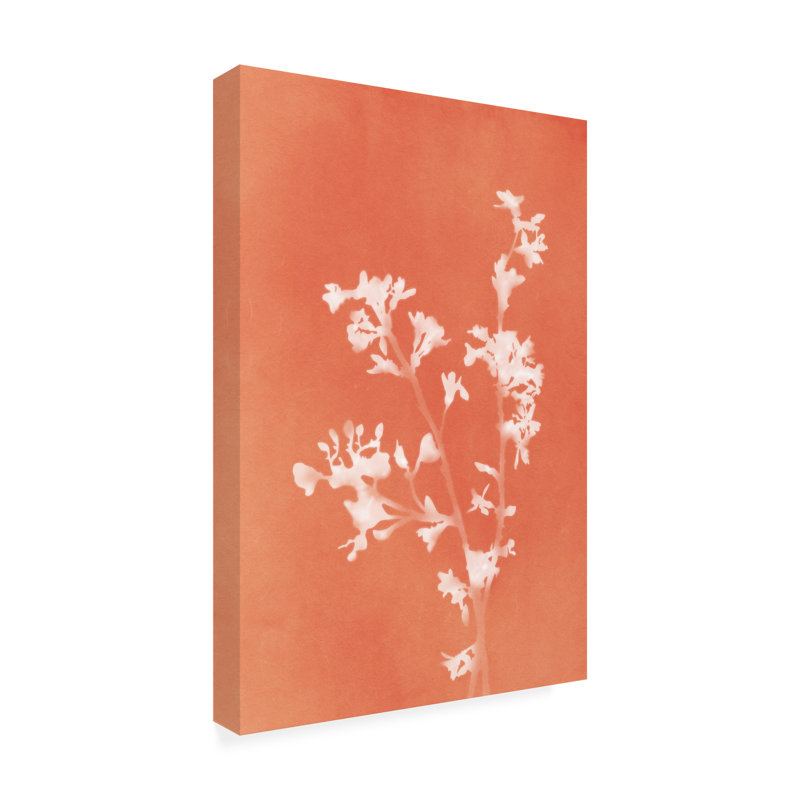 Amini54  Monograph Orange Flowers Canvas Art, 12" H x 19" W