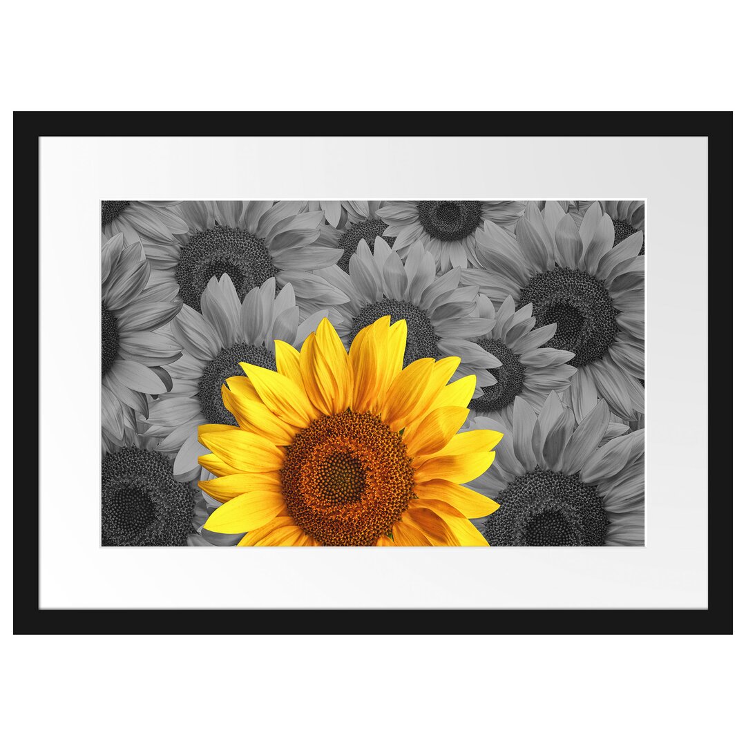 Gerahmtes Poster Schöne Sonnenblumen