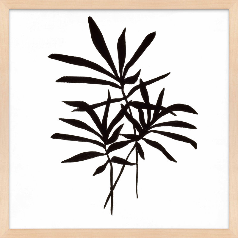 Modern Botanical 4 Print by Lee Lessem, Maple Framed Paper, 30" H x 30" W x 1.25" D