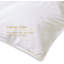 All Season Goose Feather and Down Duvet insert Cotton Shell Comforter-443314845