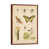 Classic Brown Wood Framed
