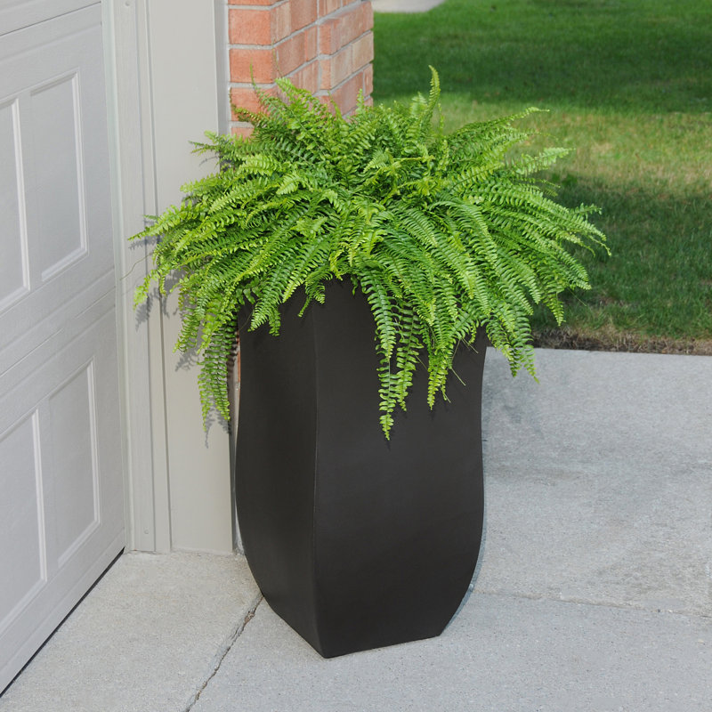 Latonia Planter Box, Espresso