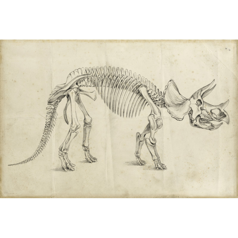 Dinosaur Study II by Ethan Harper - Wrapped Canvas Painting, 51cm H x 76cm W x 3.8cm D