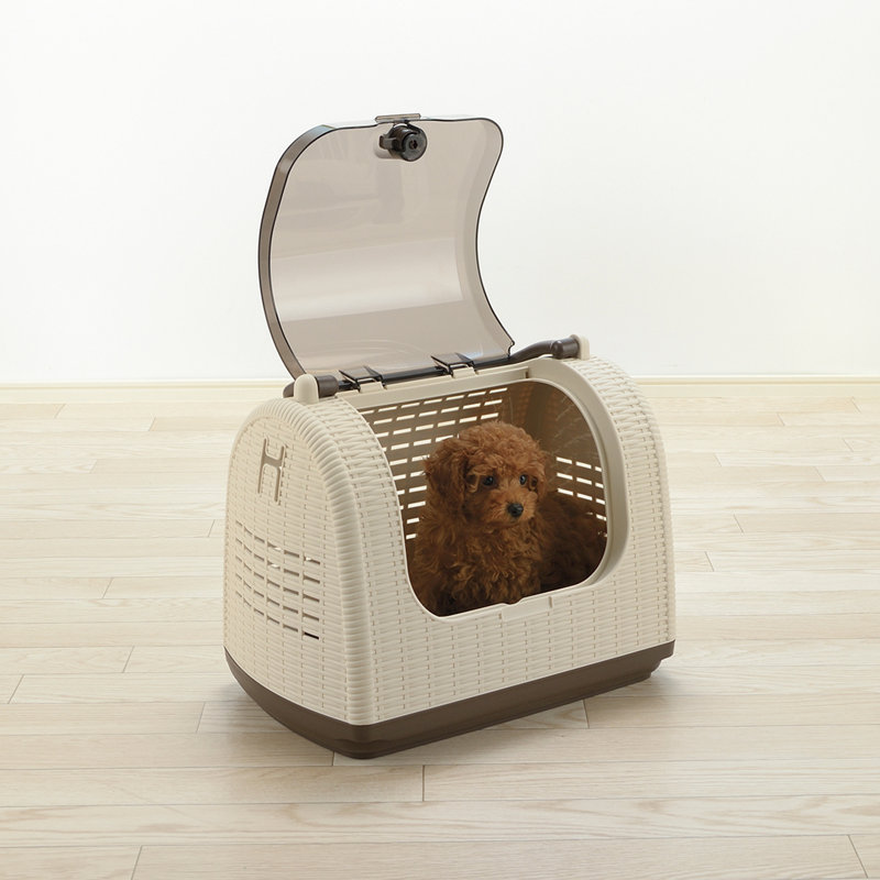 Faux Wicker Pet Carrier, Ivory