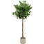 150cm Faux Plant in Cement Pot