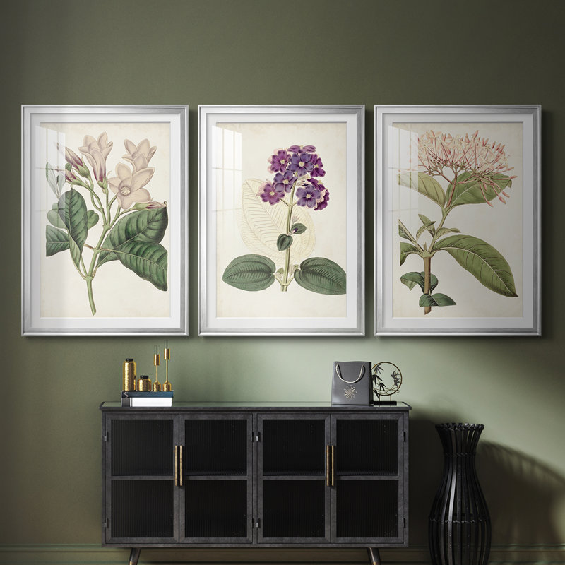 Antique Botanical Collection, Argent argent, H 19 po x l 27 po