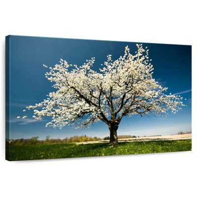 Harnek White Cherry Blossom