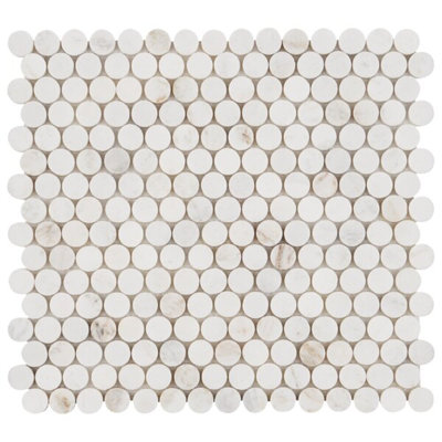 Alaska White Penny Round Polished Marble Tile