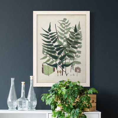 " Collected Ferns VII " Painting Print