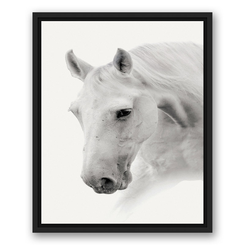 Cheval noir et blanc, reproduction sur toile, H 21,75 po x l 17,75 po