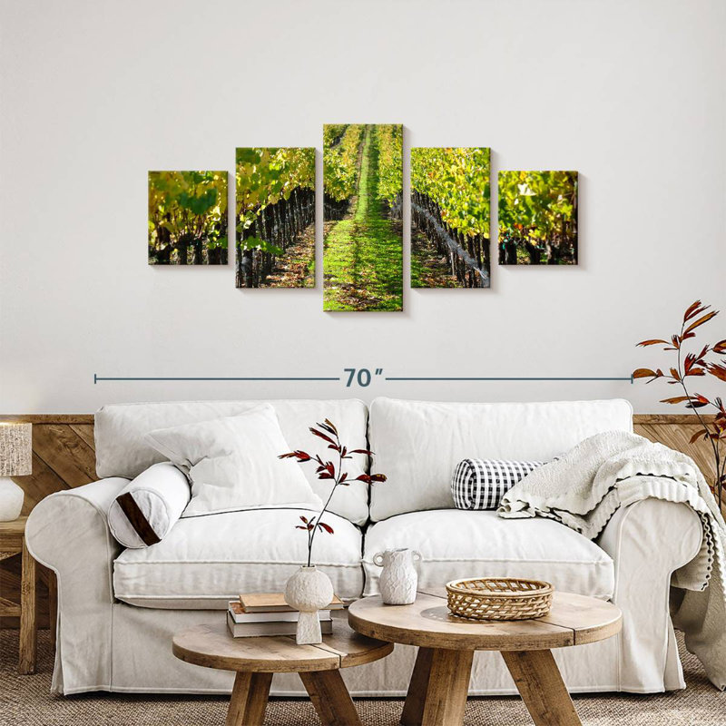 Napa Valley Vineyard, H 24 po x l 55 po
