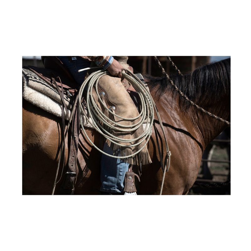 Cyaira Sierra Style par Lisa Dearing, H 12 po x l 19 po x P 2 po
