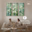 «White Blooms I Shadowbox Print» par Art Remedy, ensemble de 3-758866374