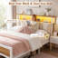 Metal Bed Frame with Upholstered Storage Headboard-34867538-34867539