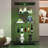Two-Door LED Lights  Glass Display Cabinet 4 Shelves With Door, Floor Standing Curio Bookshelf For Living Room Bedroom Office,  64.7"*31.7"*14.3",Black-1277090887