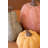 SET OF THREE TERRACOTTA PUMPKINS