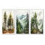 «Softwood Redwood Trees In Us Forest», ensemble de 3 reproductions d'art sur toile-293615941-293615937