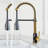 Brant 19 H 1-handle Pull-Down 2-Function Sprayer Kitchen Faucet-100790488
