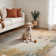 Peter Abstract Modern Marble Mustard Rug