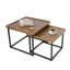  Ensemble de 2 tables d'appoint gigognes