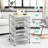 Miltenberger 4 Drawer Storage Drawer