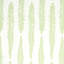 Schumacher x Molly Mahon Fern Fabric-57279113