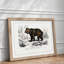 Brown Bear - Framed Print-48215781-48215782