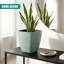 Pot Planter