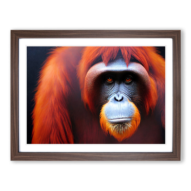 Enviable Orangutan - Single Picture Frame Print, 34cm H x 46cm W x 2cm D, Walnut