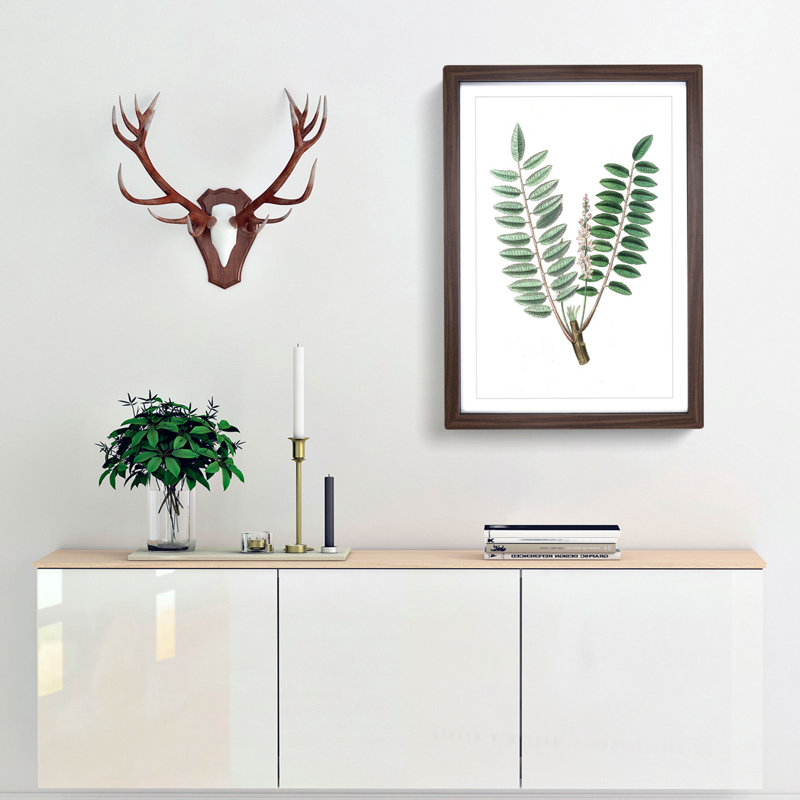 Indian Frankincense Flowers Illustration - Framed Print, 48cm H x 36cm W x 2cm D, Walnut Framed