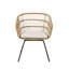 Chaise d'extérieur avec 2 coussins - chaise gracieuse, brun, eau, l 23,7 po x P 24,74 po H 31,83 po