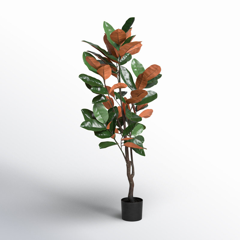 Faux Magnolia Plant in Pot, 48" H x 25" W x 25" D