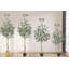 Arbre d'eucalyptus artificiel, faux eucalyptus avec des feuilles d'argent-111312774