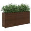Planter Box-1535048652-1535048655